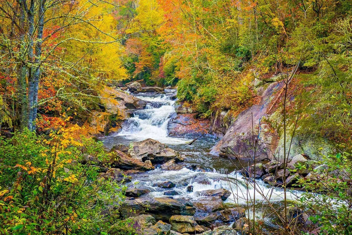 A tranquil nature scene featuring flowing water, vibrant foliage, and rocky outcroppings, ideal for hiking, nature walks, or simply soaking in the sights and sounds of the wilderness. The image suggests peaceful moments, exploration, and connection with the outdoors.